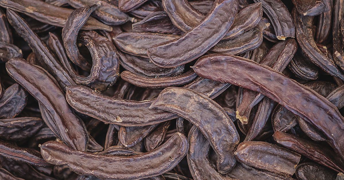 Campaña recogida de algarroba 2025